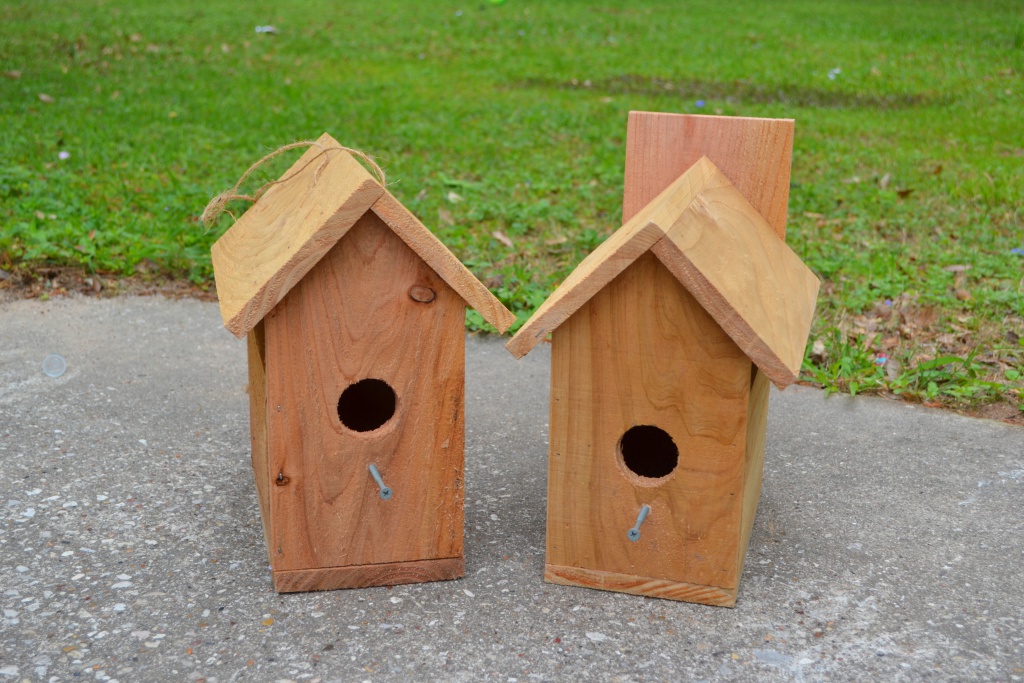 How to Build a Birdhouse in 10 Easy Steps - The Hobbyist