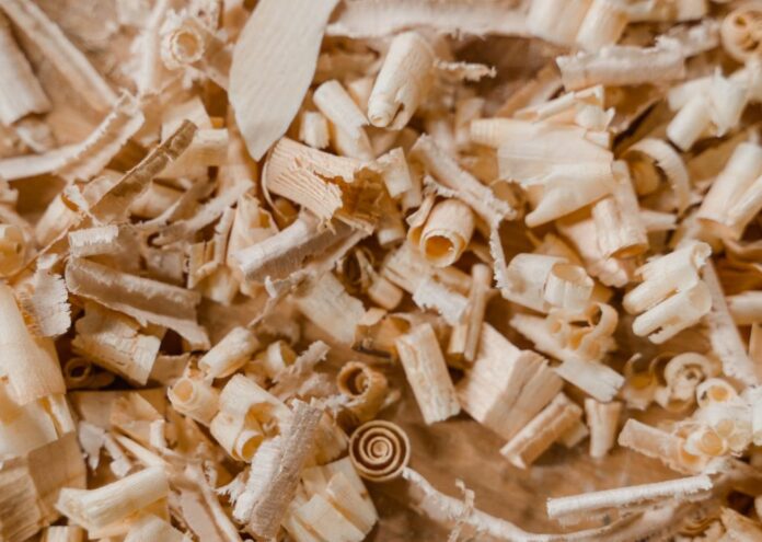 A close-up of sawdust shavings for our article 9 practical uses for sawdust