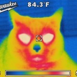 m12 Thermal image-03