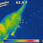 m12 Thermal image-06