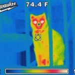 m12 Thermal image-07