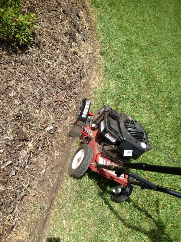 Craftsman edger 1