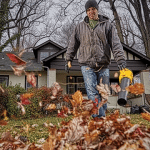 Dewalt leaf blower