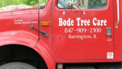 Bode Tree Care