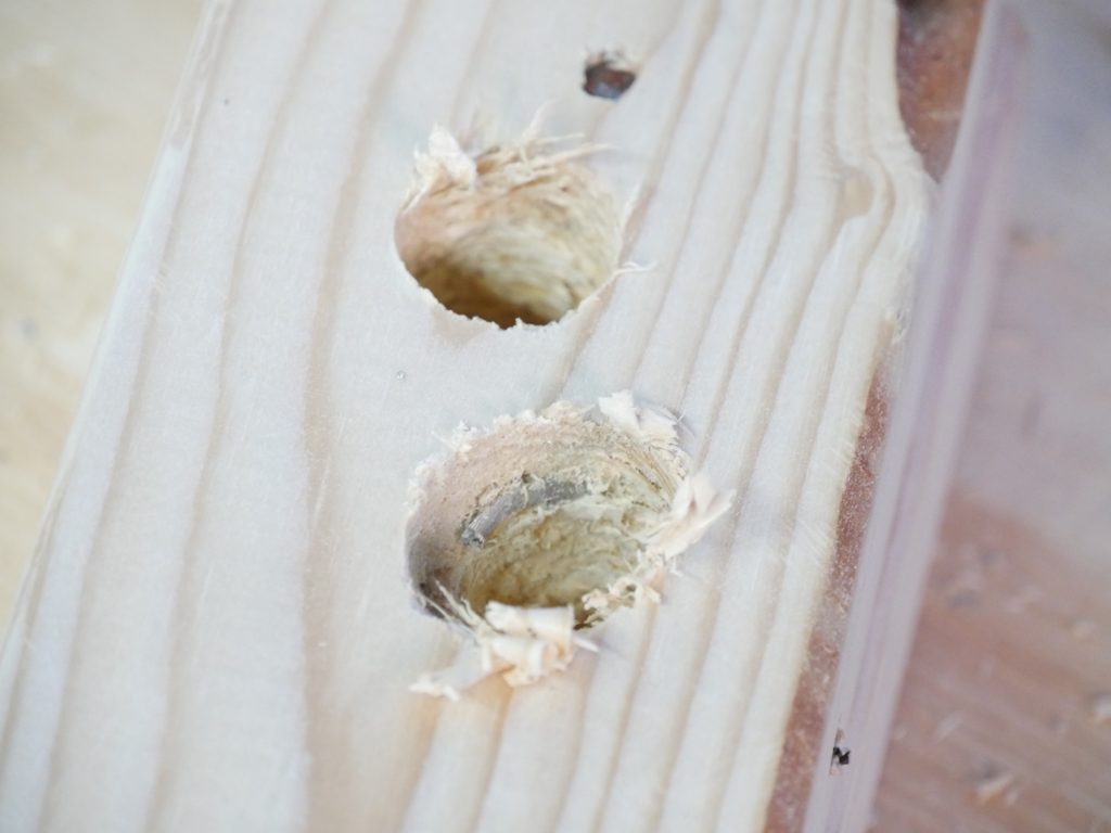 Bosch Nail Strike