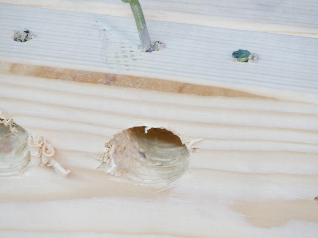 Bosch Nail Strike