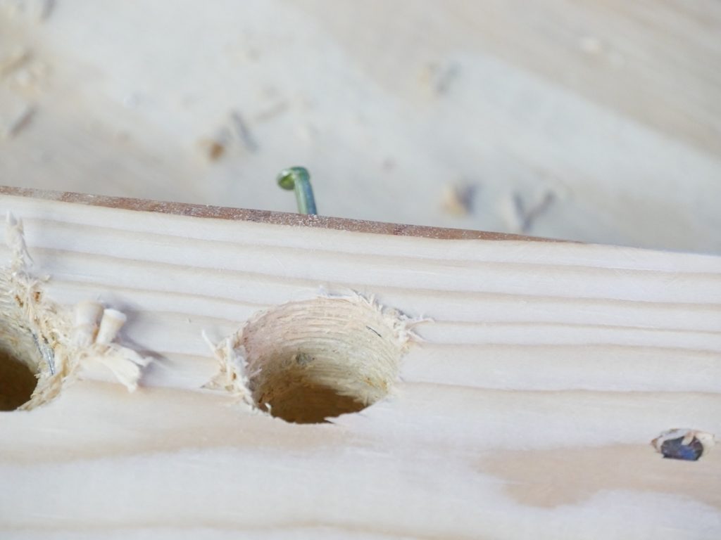 Bosch Nail Strike