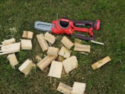 Craftsman Cordless Lopper Kit Review 13