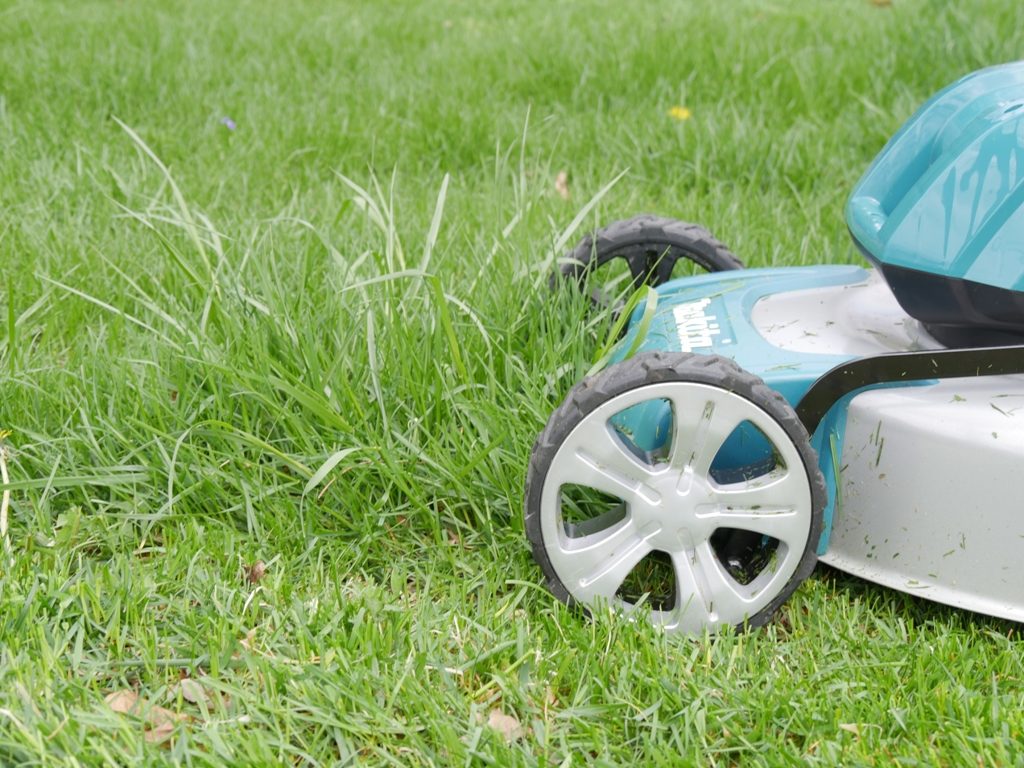 Makita Cordless Lawn mower