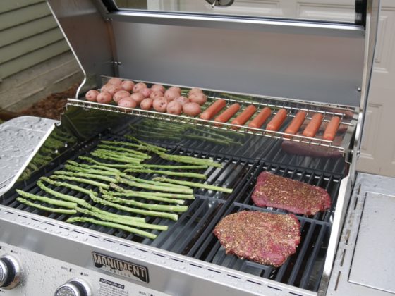 Monument 35633 Grill Review
