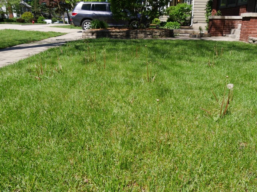 Toro Personal Pace with Briggs & Stratton Engine