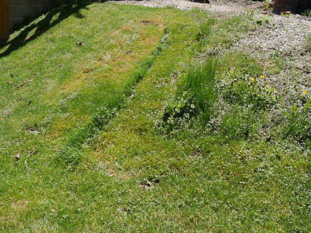 Toro Personal Pace with Briggs & Stratton Engine