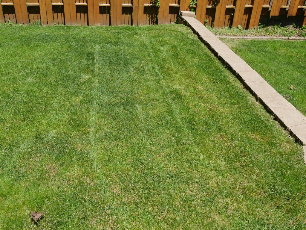 Toro Personal Pace with Briggs & Stratton Engine