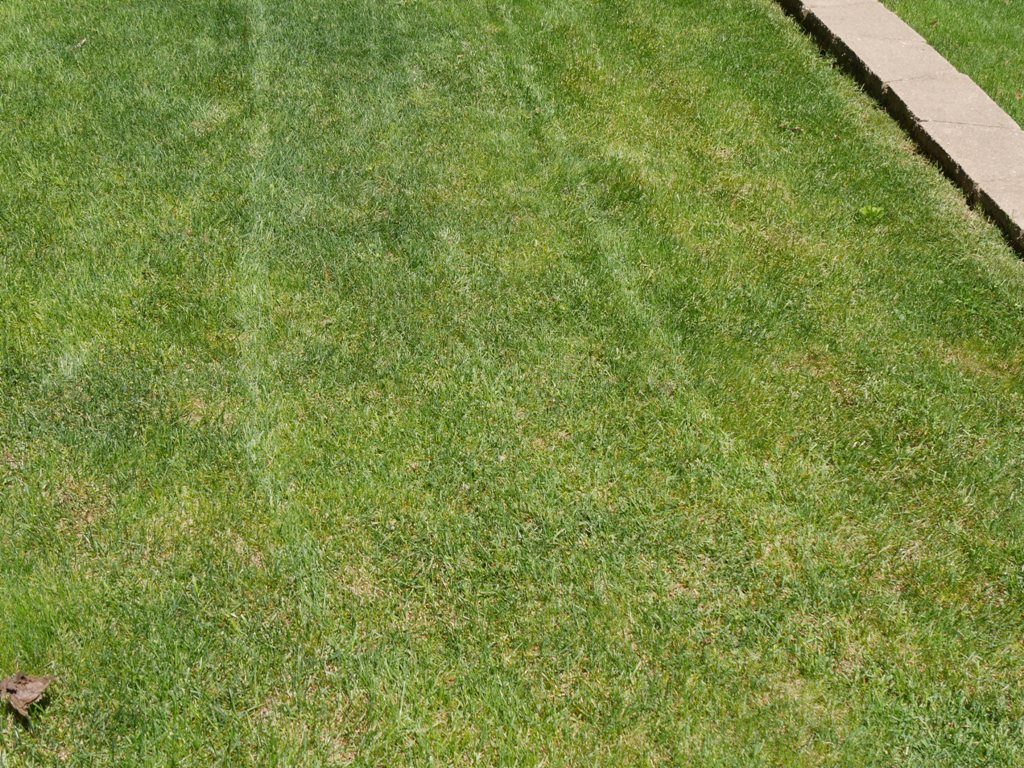 Toro Personal Pace with Briggs & Stratton Engine