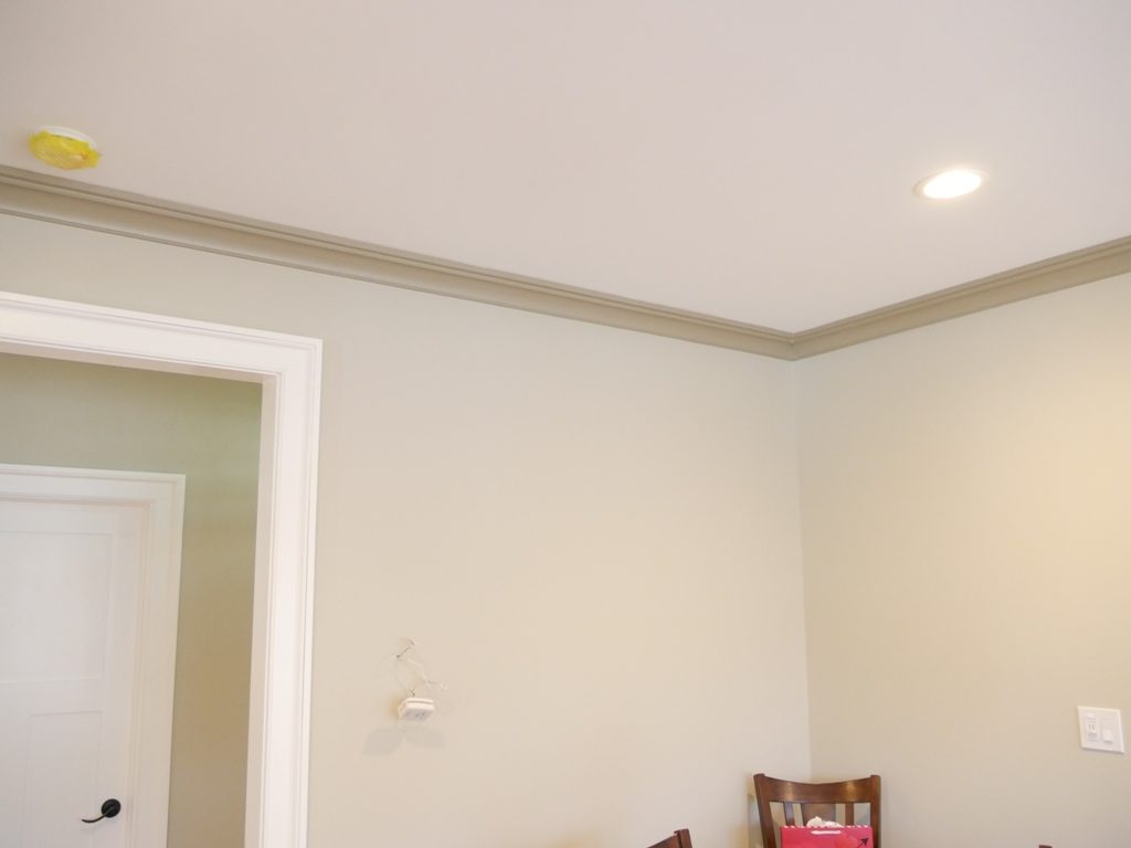 WindsorONE Review