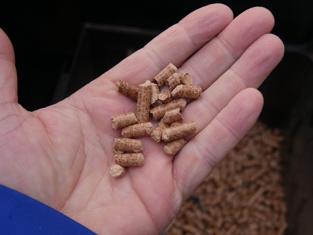 Traeger Pro 780 Review