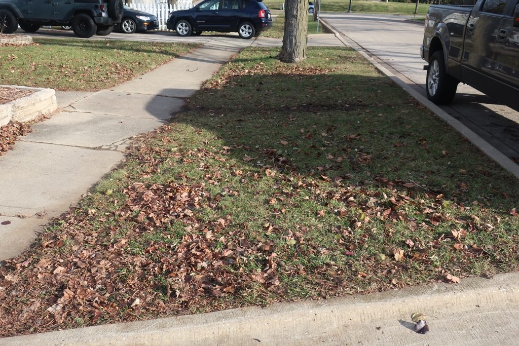 Ego Lawn Mower Review