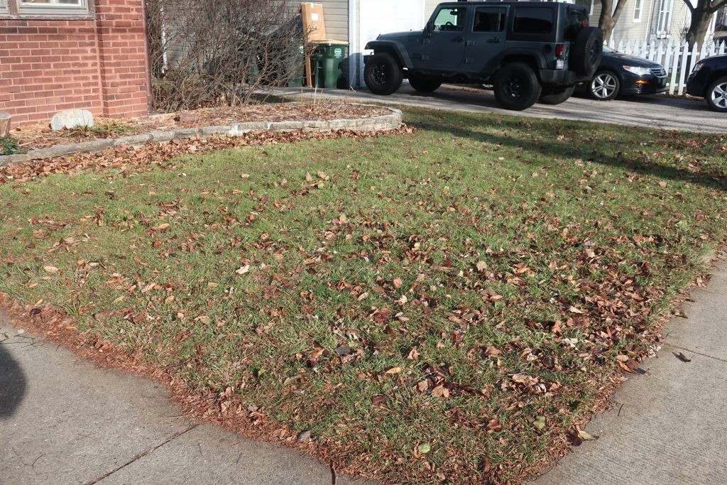 Ego Lawn Mower Review