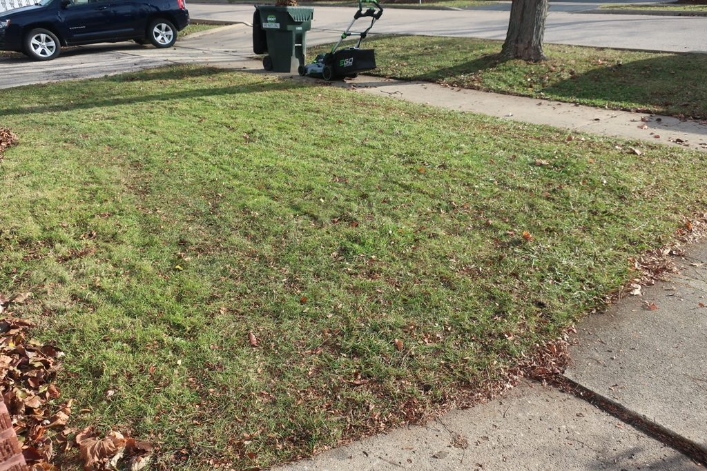 Ego Lawn Mower Review