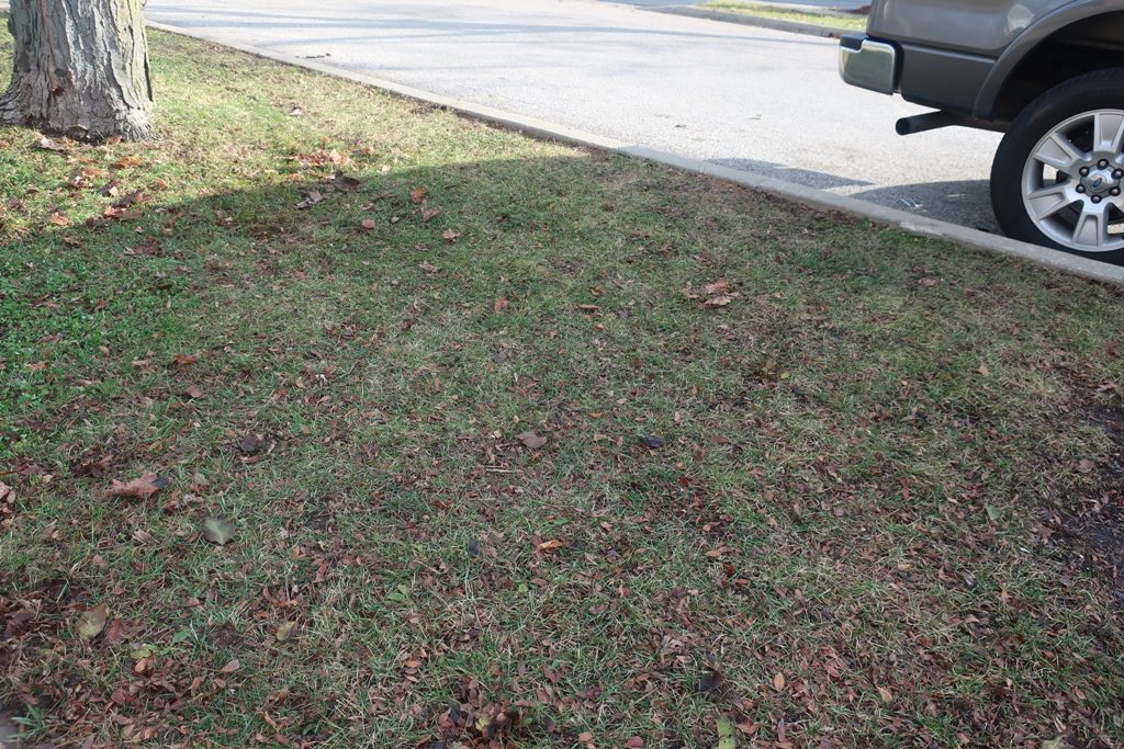 Ego Lawn Mower Review