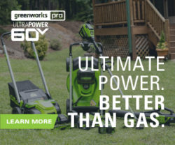 Greenworks 2021