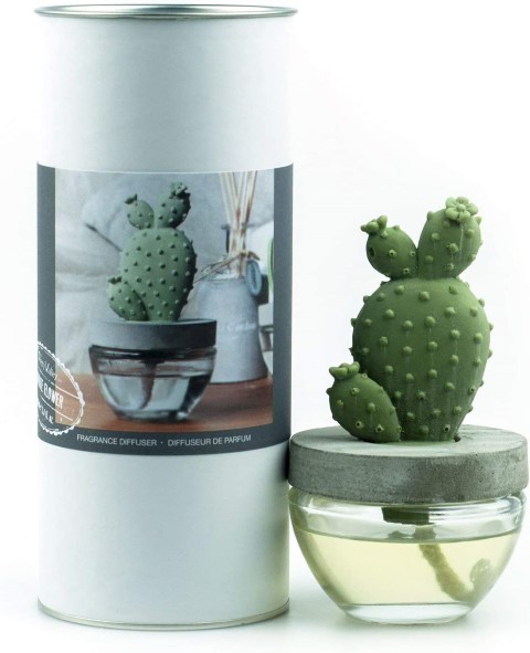 2023 Mother’s Day Gift Guide gypsum cactus fragrance diffuser