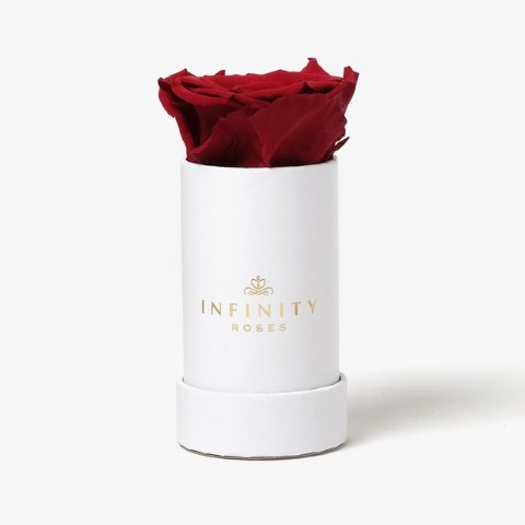 2023 Mother's Day Gift Guide single red infinity rose