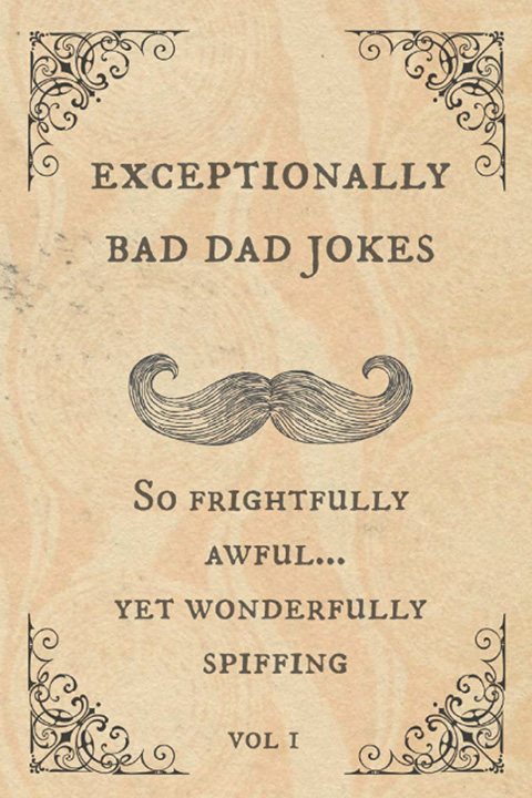 2023 Father's Day Gift Guide Item #15 Exceptionally Bad Dad Jokes Joke book