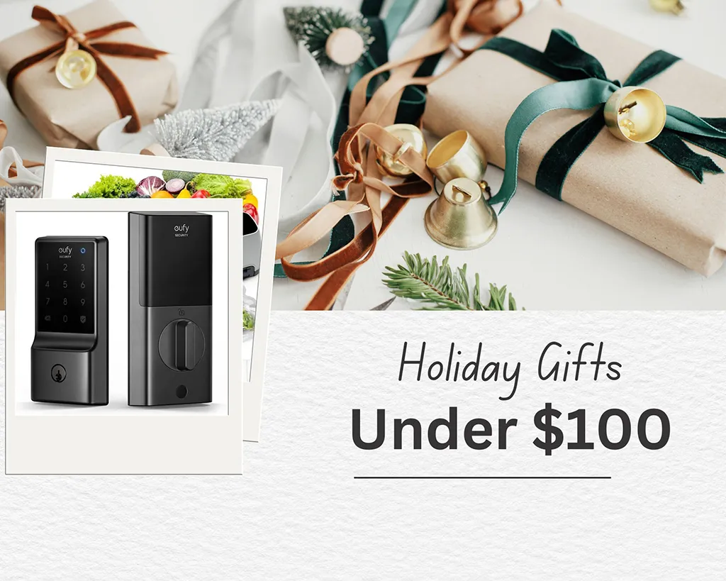 75  Gifts Under $100 - Gift Ideas on  2023