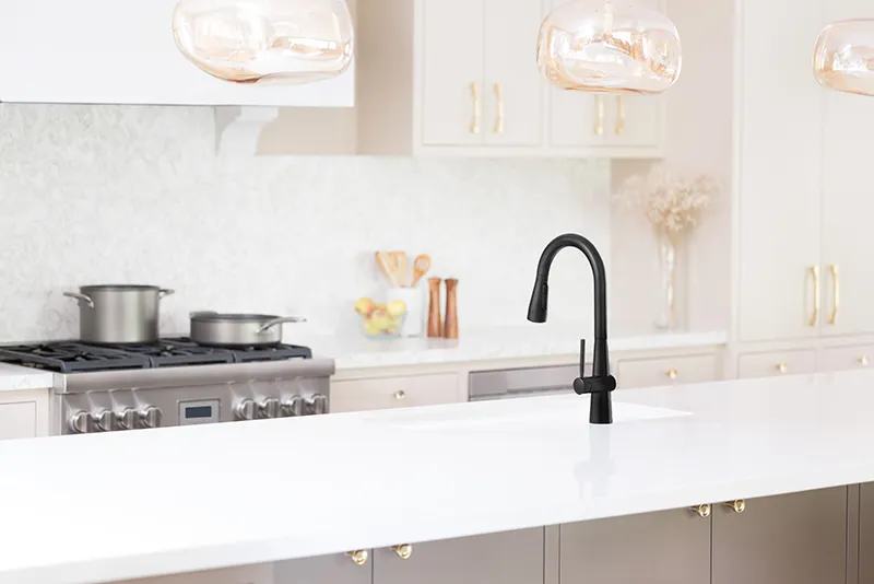 Home Trends from the 2025 Kitchen & Bath Industry Show: Brondell Miss Jema faucet