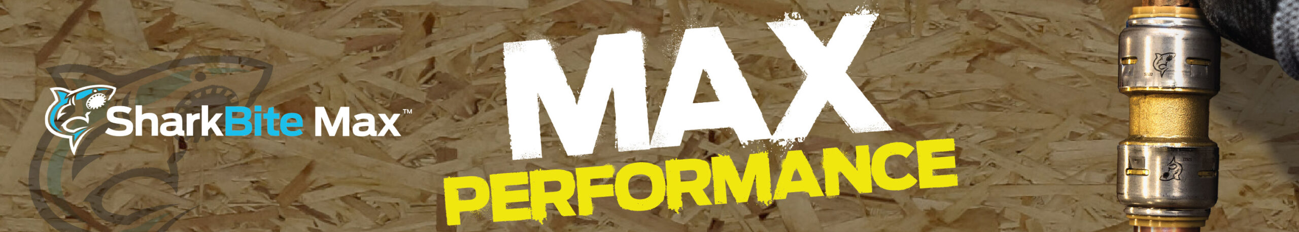 Shark bit rectangle 1