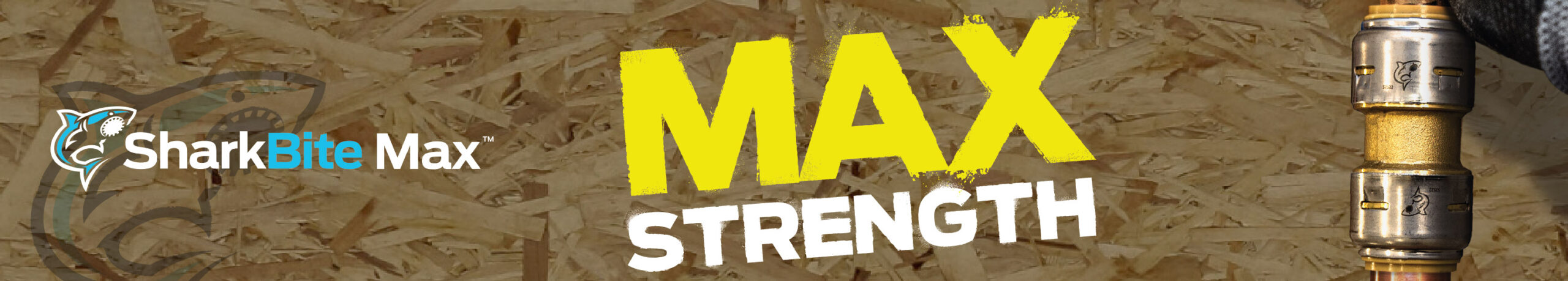 Shark Bit - Rectangle - 2 Shark bit rectangle 2