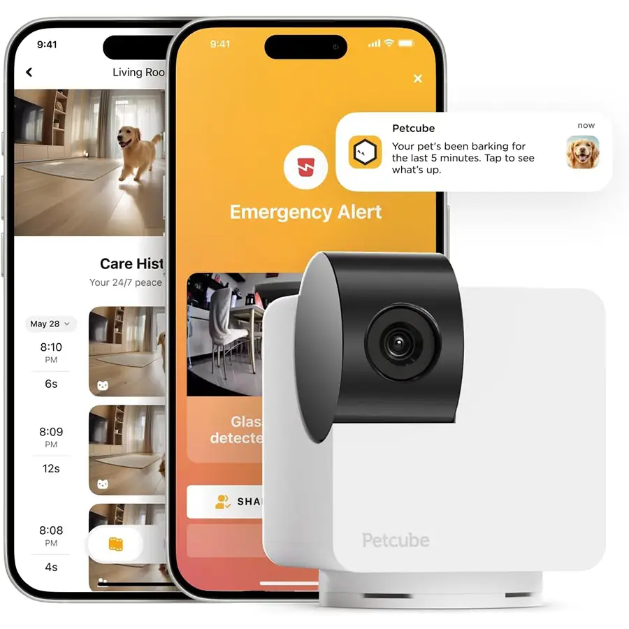 Best-Amazon-Prime-Day-Deals-for-pet-owners-2026_bathroom-pet-tech_petcube-cam-360 Best Amazon Prime Day Deals for pet owners 2026 bathroom pet tech petcube cam