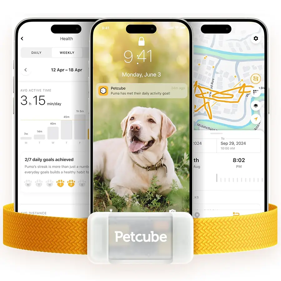 Best Amazon Prime Day Deals for pet owners 2026 bathroom pet tech petcube gps tracker