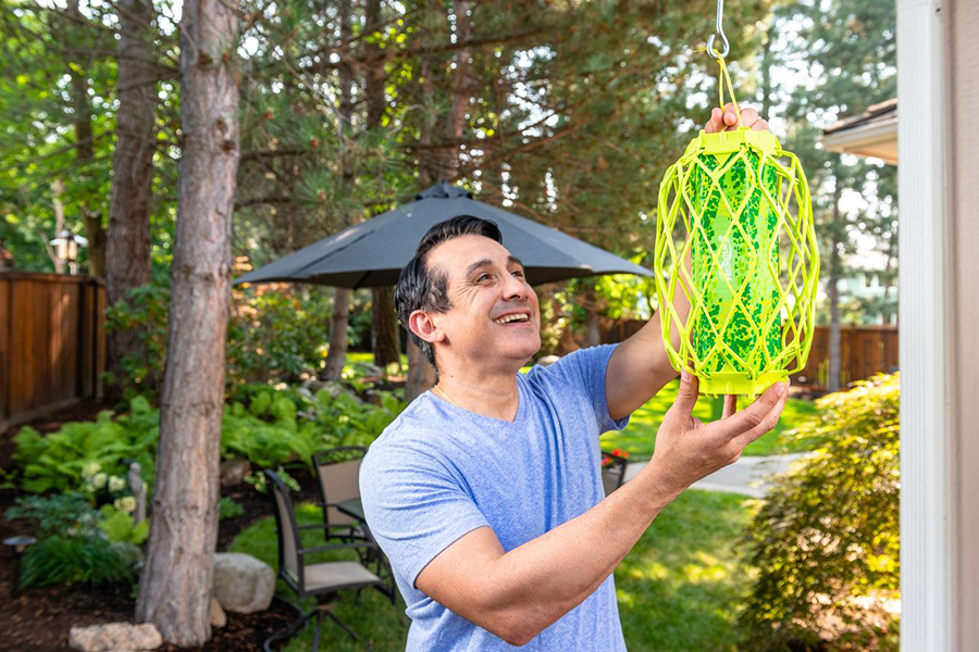 backyard-upgrades-outdoor-living_rescue-insect-traps_002 Backyard upgrades outdoor living rescue insect traps