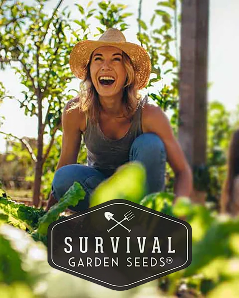 survival-garden-seeds_002_lrg Survival garden seeds 002 lrg